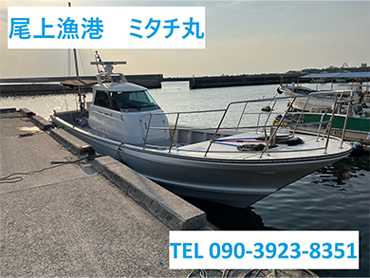 尾上漁港 ミタチ丸 TEL 090-3923-8351
